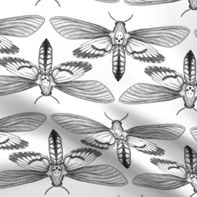 Death's Head Moth Pattern on Fabric