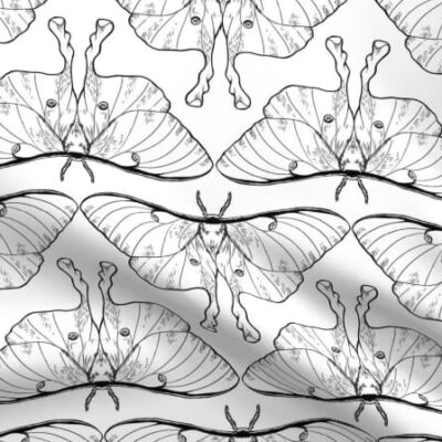Luna Moth Pattern on Fabric