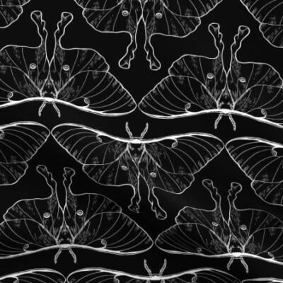 Luna Moth Pattern White on Fabric